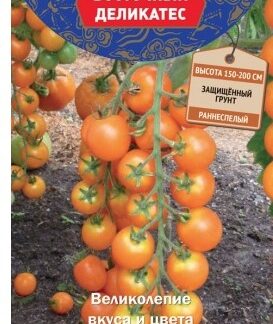 Томат Волшебная арфа F1