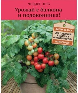 Томат Красная Шапочка