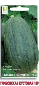 Тыква твердокорая Грибовская кустовая 189