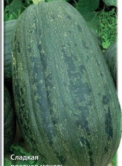 Тыква твердокорая Грибовская кустовая 189