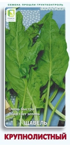 Щавель Крупнолистный