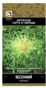 Эндивий Весенний