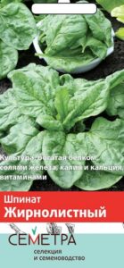 Шпинат Жирнолистный