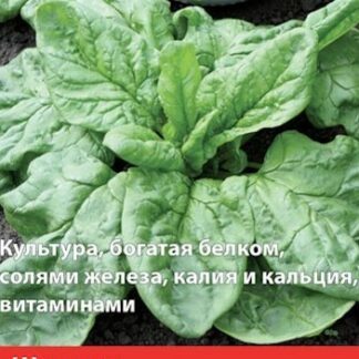 Шпинат Жирнолистный