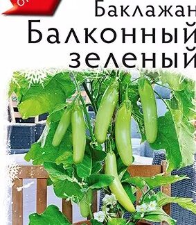 Баклажан Балконный зеленый