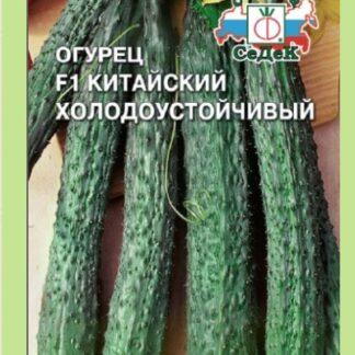 Огурец Китайский Холодоустойчивый F1