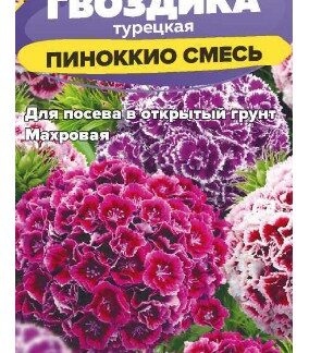 Гвоздика турецкая Пиноккио