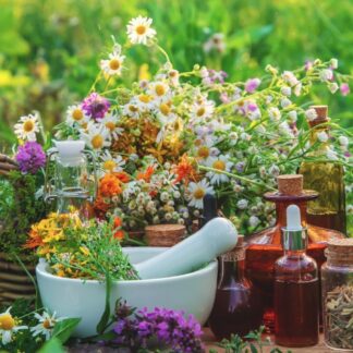 Лекарственные растения