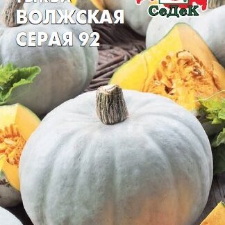 Тыква Волжская серая