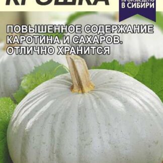 Тыква Крошка