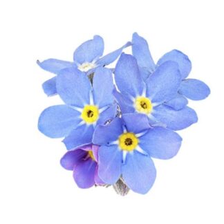 Многолетние цветы