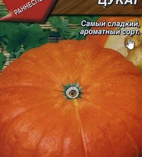 Тыква крупноплодная Цукат
