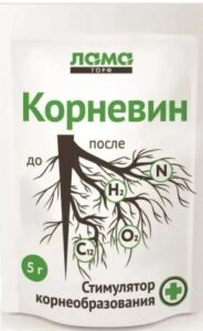Стимулятор Корневин 5 гр Стимулятор корнеобразования