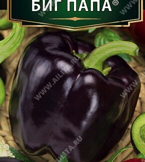 Перец сладкий Биг папа