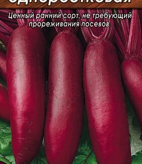Свекла столовая Цилиндра одноростковая