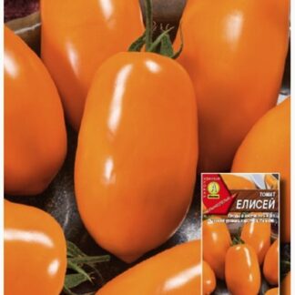 Томат Елисей