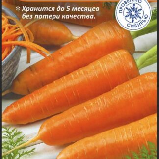 Морковь Шарлотта