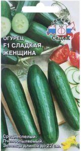 Огурец Сладкая женщина