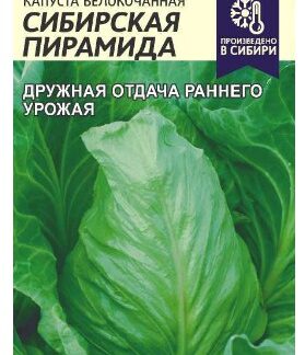 Капуста Сибирская Пирамида