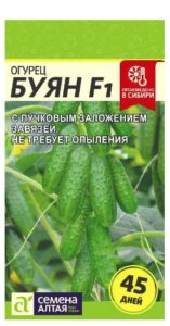 Огурец Буян F1