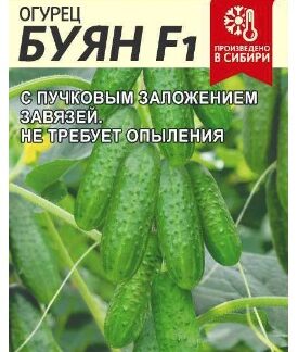 Огурец Буян F1