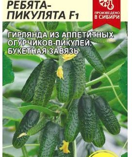 Огурец Ребята-Пикулята F1
