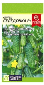 Огурец Селедочка F1