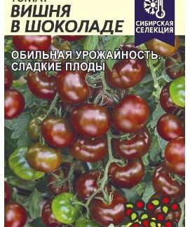 Томат Вишня в Шоколаде