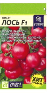 Томат Лось F1