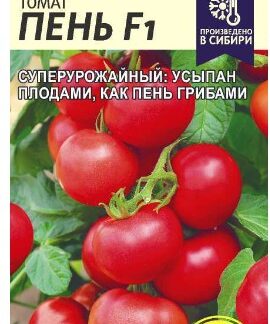 Томат Пень F1