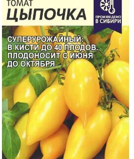 Томат Цыпочка