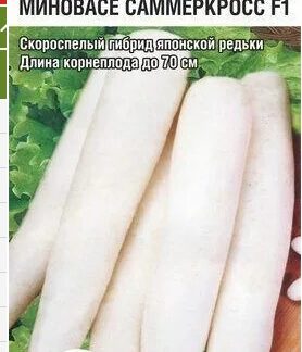 Дайкон Миновасе Саммеркросс