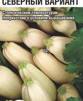 Кабачок Северный вариант