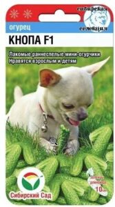 Огурец КНОПА F1