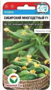 Огурец СИБИРСКИЙ МНОГОДЕТНЫЙ F1