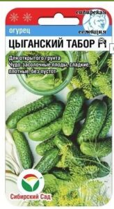 Огурец Цыганский табор F1