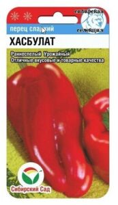 Перец ХАСБУЛАТ