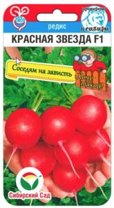 Редис Красная звезда