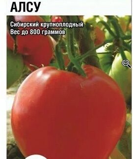 Томат Алсу