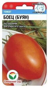 Томат Боец (Буян)