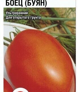 Томат Боец (Буян)