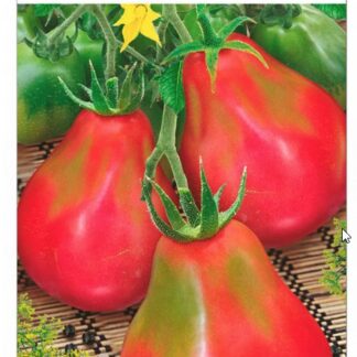 Томат Веселые гондурасики