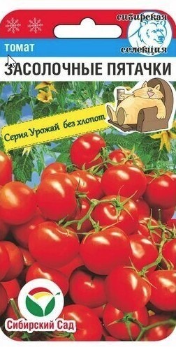 Томат Засолочные пятачки