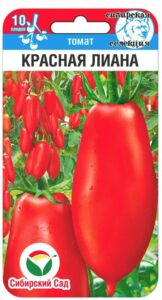 Томат Красная лиана