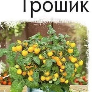 Томат Грошик