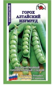 Горох Алтайский изумруд