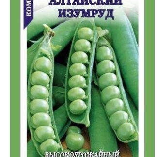 Горох Алтайский изумруд