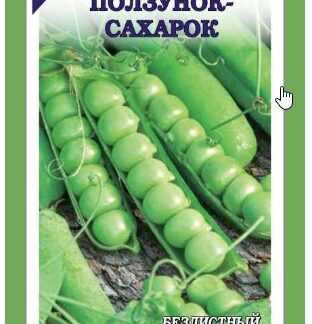 Горох Ползунок Сахарок
