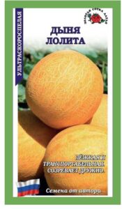 Дыня Лолита