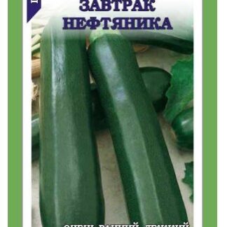 Кабачок Завтрак Нефтянника